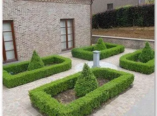 Jardin privé