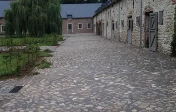 Vieux pavés rustiques avec joints à la dolomie
