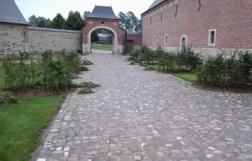 Vieux pavés rustiques avec joints à la dolomie