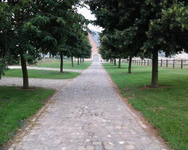 Vieux pavés rustiques avec joints à la dolomie