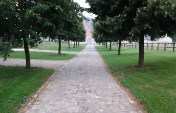 Vieux pavés rustiques avec joints à la dolomie